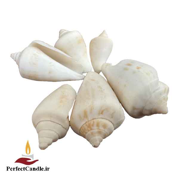 Tortoise-shell صدف لاکپشتی شمع سازی