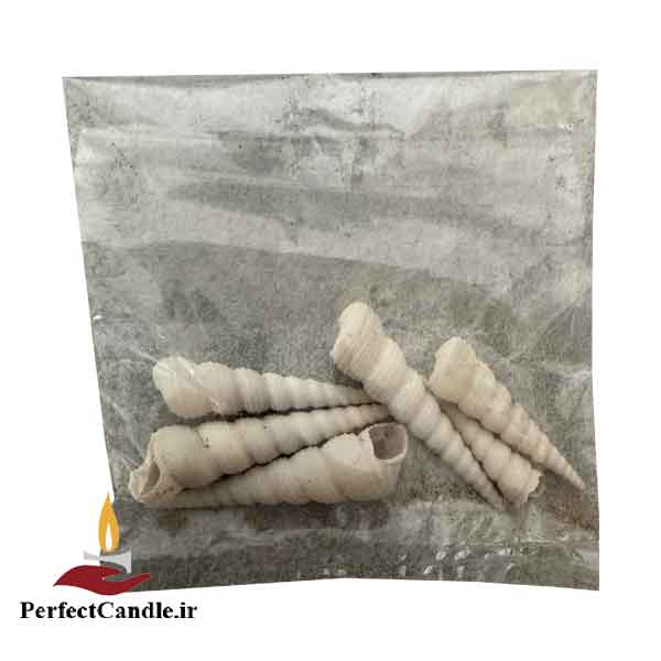 needle-oyster-pack صدف شیپوری- صدف سوزنی